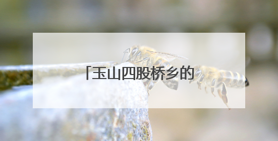 玉山四股桥乡的黄桃迎来丰收季，甜蜜诱惑来袭！