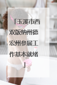 玉溪市西双版纳州德宏州参展工作基本就绪