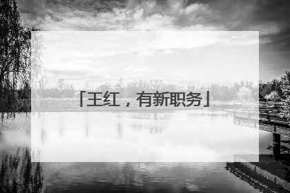 王红，有新职务