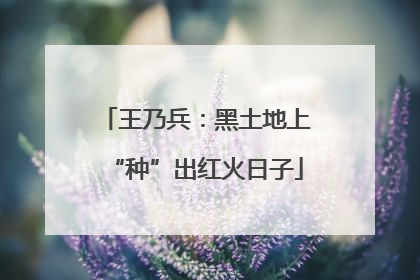王乃兵：黑土地上“种”出红火日子