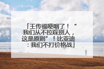 王传福哽咽了！“我们从不拉踩别人，这是原则”！比亚迪：我们不打价格战