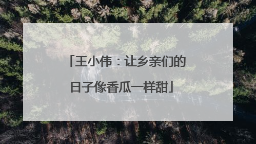 王小伟：让乡亲们的日子像香瓜一样甜