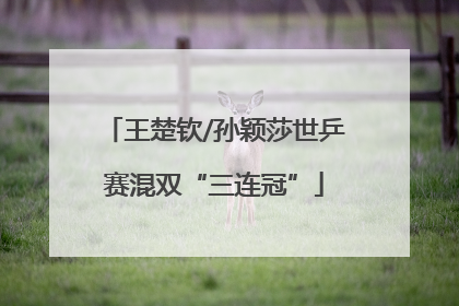 王楚钦/孙颖莎世乒赛混双“三连冠”