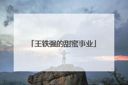 王铁强的甜蜜事业