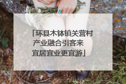 环县木钵镇关营村 产业融合引客来 宜居宜业更宜游