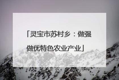 灵宝市苏村乡：做强做优特色农业产业