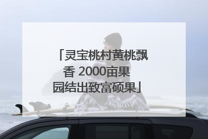 灵宝桃村黄桃飘香 2000亩果园结出致富硕果