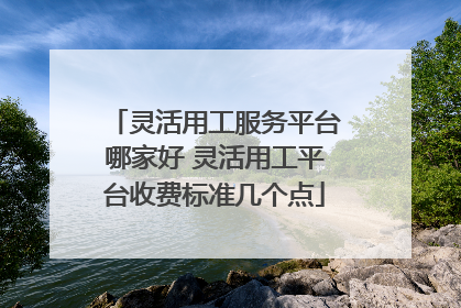 灵活用工服务平台哪家好 灵活用工平台收费标准几个点