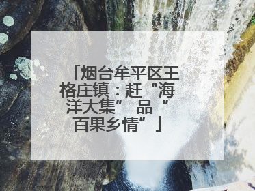 烟台牟平区王格庄镇：赶“海洋大集” 品“百果乡情”