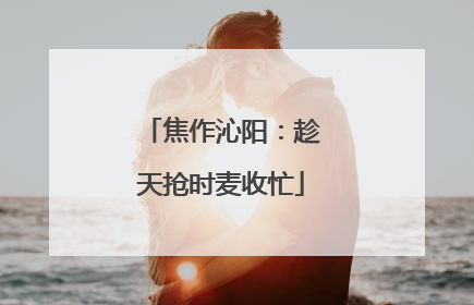 焦作沁阳：趁天抢时麦收忙