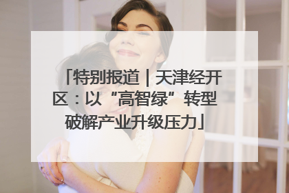 特别报道｜天津经开区：以“高智绿”转型破解产业升级压力