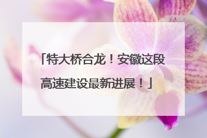 特大桥合龙！安徽这段高速建设最新进展！