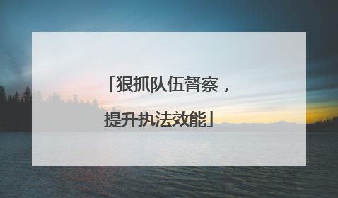 狠抓队伍督察，提升执法效能