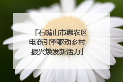 石嘴山市惠农区电商引擎驱动乡村振兴焕发新活力