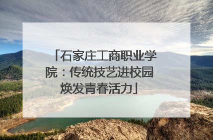 石家庄工商职业学院：传统技艺进校园焕发青春活力