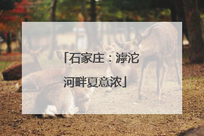 石家庄：滹沱河畔夏意浓