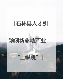 石林县人才引领创新驱动产业“三级跳”