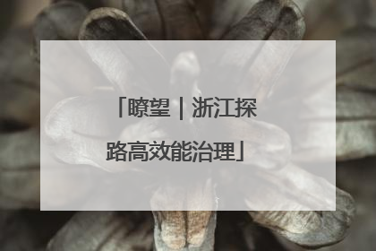 瞭望｜浙江探路高效能治理