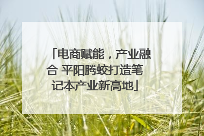电商赋能，产业融合 平阳腾蛟打造笔记本产业新高地
