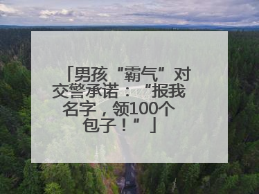 男孩“霸气”对交警承诺：“报我名字，领100个包子！”