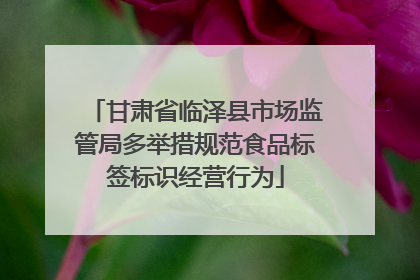 甘肃省临泽县市场监管局多举措规范食品标签标识经营行为