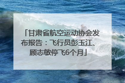 甘肃省航空运动协会发布报告：飞行员彭玉江、顾志敏停飞6个月