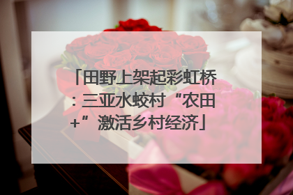 田野上架起彩虹桥：三亚水蛟村“农田+”激活乡村经济