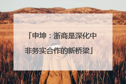申坤：浙商是深化中非务实合作的新桥梁