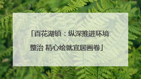 百花湖镇：纵深推进环境整治 精心绘就宜居画卷