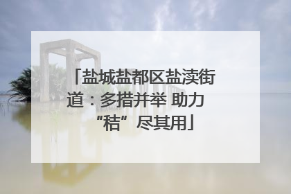 盐城盐都区盐渎街道：多措并举 助力“秸”尽其用