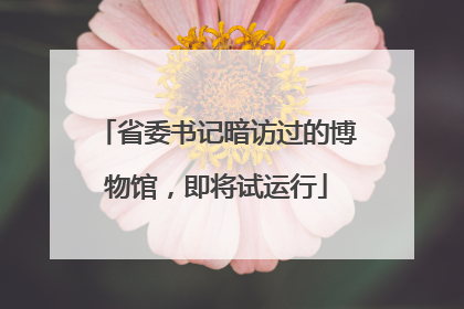 省委书记暗访过的博物馆，即将试运行