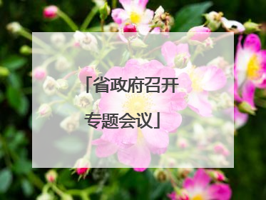省政府召开专题会议