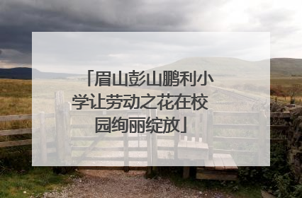 眉山彭山鹏利小学让劳动之花在校园绚丽绽放