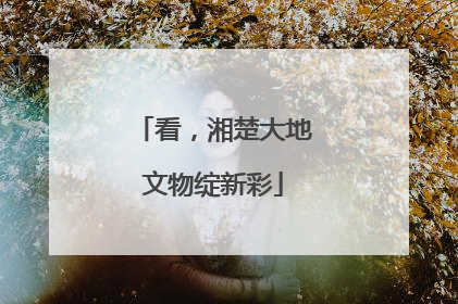 看，湘楚大地文物绽新彩