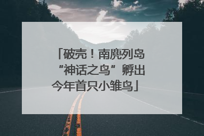 破壳！南麂列岛“神话之鸟”孵出今年首只小雏鸟