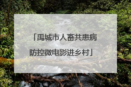 禹城市人畜共患病防控微电影进乡村