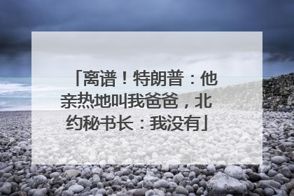 离谱！特朗普：他亲热地叫我爸爸，北约秘书长：我没有