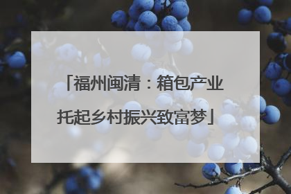 福州闽清：箱包产业托起乡村振兴致富梦