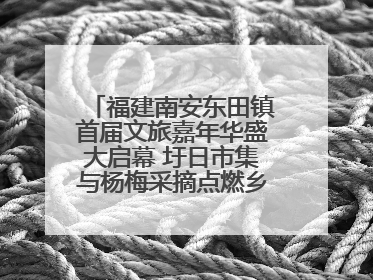 福建南安东田镇首届文旅嘉年华盛大启幕 圩日市集与杨梅采摘点燃乡村振兴新动能