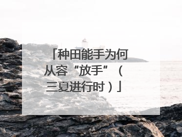 种田能手为何从容“放手”（三夏进行时）