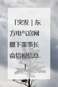 突发｜东方电气官网撤下董事长俞培根信息