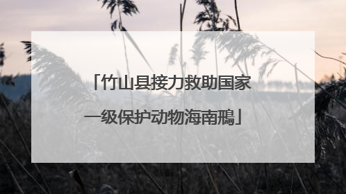 竹山县接力救助国家一级保护动物海南鳽
