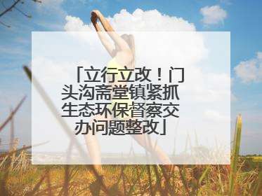 立行立改！门头沟斋堂镇紧抓生态环保督察交办问题整改