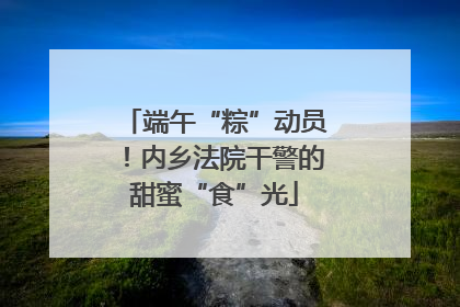 端午“粽”动员！内乡法院干警的甜蜜“食”光