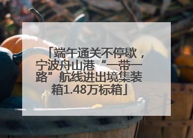 端午通关不停歇，宁波舟山港“一带一路”航线进出境集装箱1.48万标箱