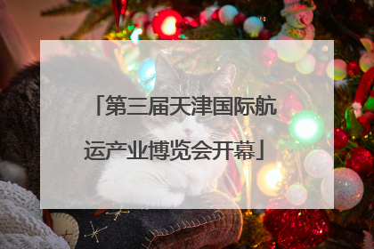 第三届天津国际航运产业博览会开幕