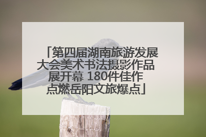 第四届湖南旅游发展大会美术书法摄影作品展开幕 180件佳作点燃岳阳文旅爆点