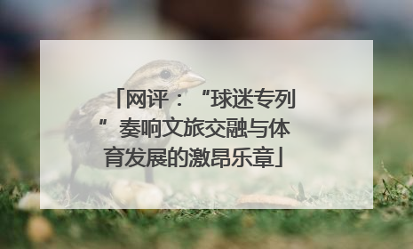 网评：“球迷专列”奏响文旅交融与体育发展的激昂乐章