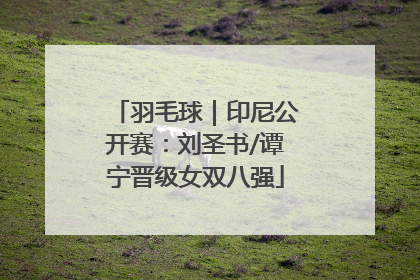 羽毛球｜印尼公开赛：刘圣书/谭宁晋级女双八强