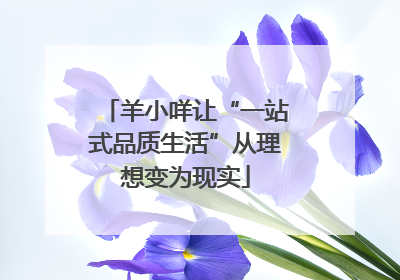 羊小咩让“一站式品质生活”从理想变为现实